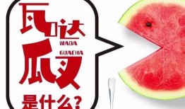 吃瓜抖音,揭秘热门事件背后的真相